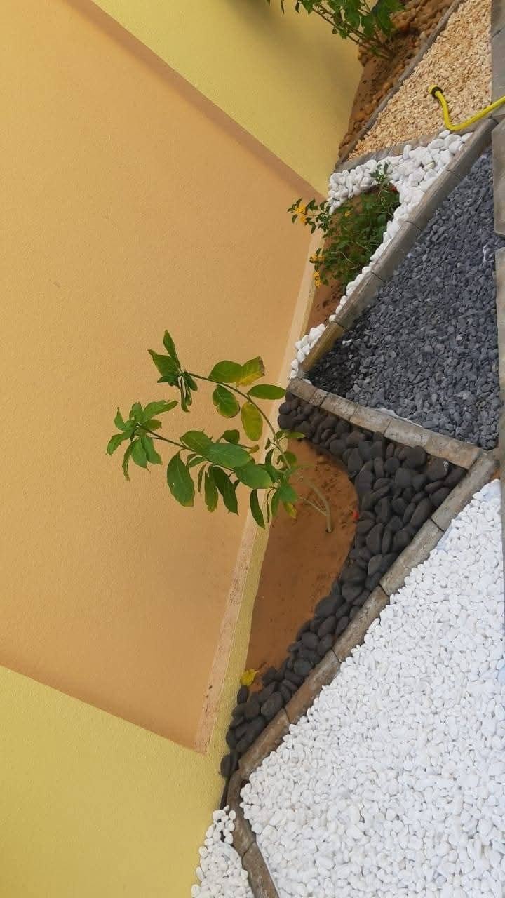 Landscape project photo 10